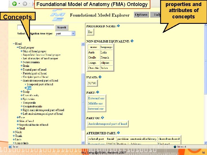 Foundational Model of Anatomy (FMA) Ontology Concepts M. L. Zeng @ ISSAI, Helsinki, 2007