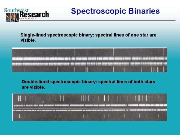 Spectroscopic Binaries Single-lined spectroscopic binary: spectral lines of one star are visible. Double-lined spectroscopic