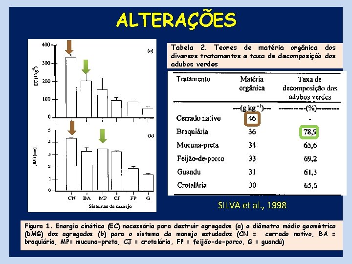 ALTERAÇÕES Tabela 2. Teores de matéria orgânica dos diversos tratamentos e taxa de decomposição