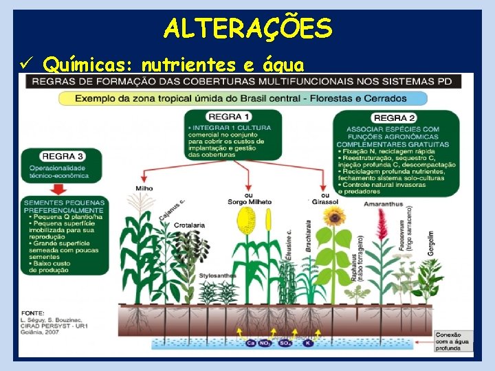 ALTERAÇÕES ü Químicas: nutrientes e água 13 