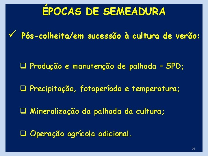 ÉPOCAS DE SEMEADURA ü Pós-colheita/em sucessão à cultura de verão: q Produção e manutenção