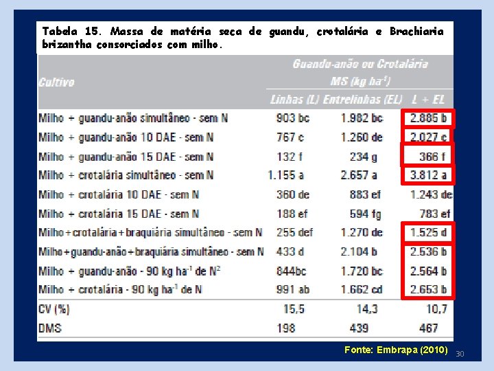 Tabela 15. Massa de matéria seca de guandu, crotalária e Brachiaria brizantha consorciados com