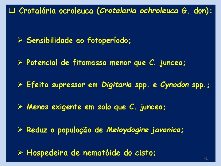 q Crotalária ocroleuca (Crotalaria ochroleuca G. don): Ø Sensibilidade ao fotoperíodo; Ø Potencial de