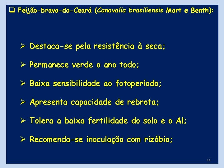 q Feijão-bravo-do-Ceará (Canavalia brasiliensis Mart e Benth): Ø Destaca-se pela resistência à seca; Ø