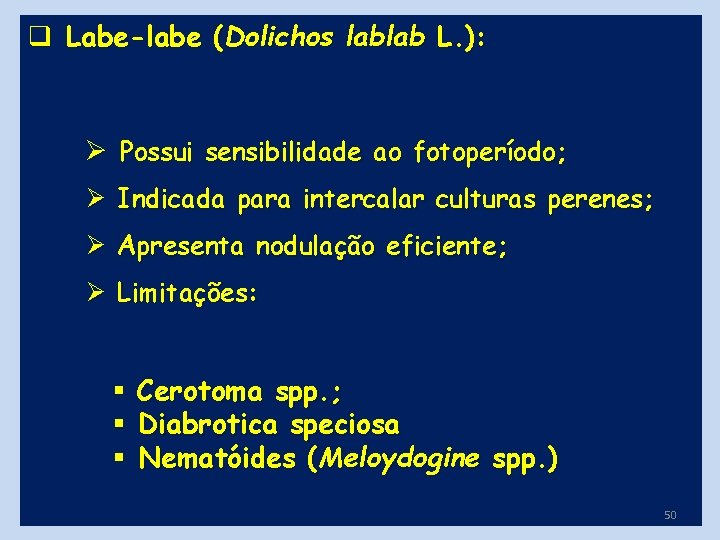 q Labe-labe (Dolichos lablab L. ): Ø Possui sensibilidade ao fotoperíodo; Ø Indicada para
