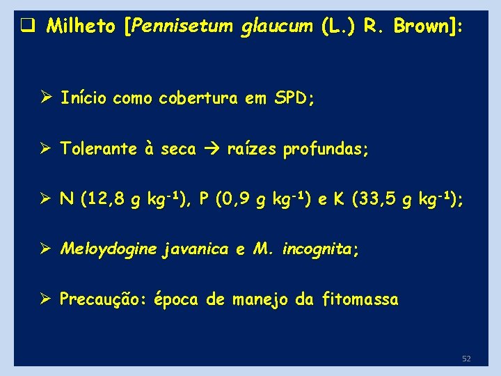 q Milheto [Pennisetum glaucum (L. ) R. Brown]: Ø Início como cobertura em SPD;