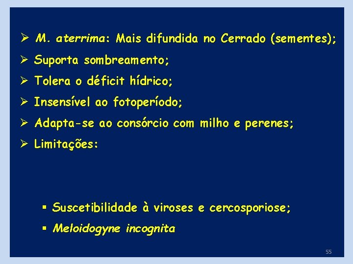 Ø M. aterrima: Mais difundida no Cerrado (sementes); Ø Suporta sombreamento; Ø Tolera o