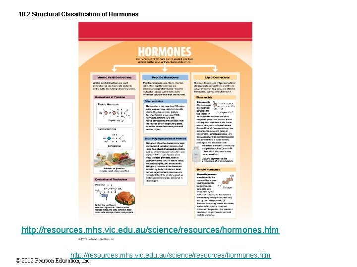 18 -2 Structural Classification of Hormones http: //resources. mhs. vic. edu. au/science/resources/hormones. htm ©