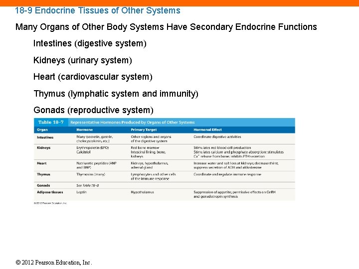 18 -9 Endocrine Tissues of Other Systems Many Organs of Other Body Systems Have
