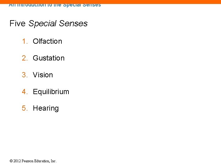 An Introduction to the Special Senses Five Special Senses 1. Olfaction 2. Gustation 3.