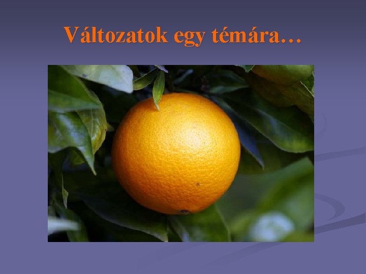 Változatok egy témára… 