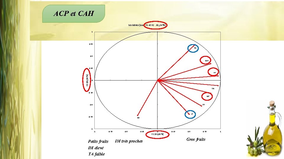 ACP et CAH Variables (axes F 1 et F 2 : 81, 24 %)