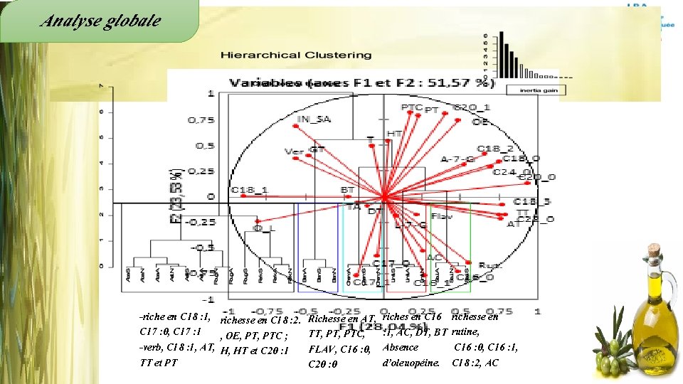 Analyse globale -riche en C 18 : 1, richesse en C 18 : 2.