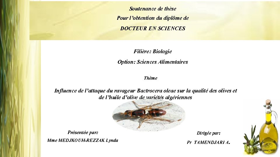 Soutenance de thèse Pour l’obtention du diplôme de DOCTEUR EN SCIENCES Filière: Biologie Option: