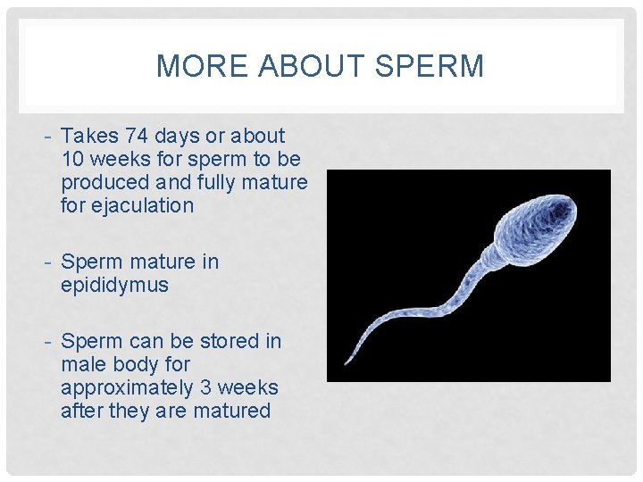 Access to sperm blasters website
