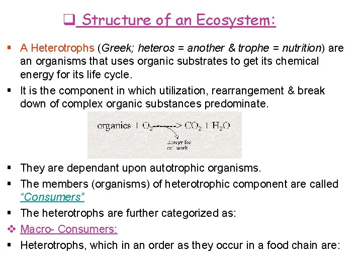  Structure of an Ecosystem: A Heterotrophs (Greek; heteros = another & trophe =
