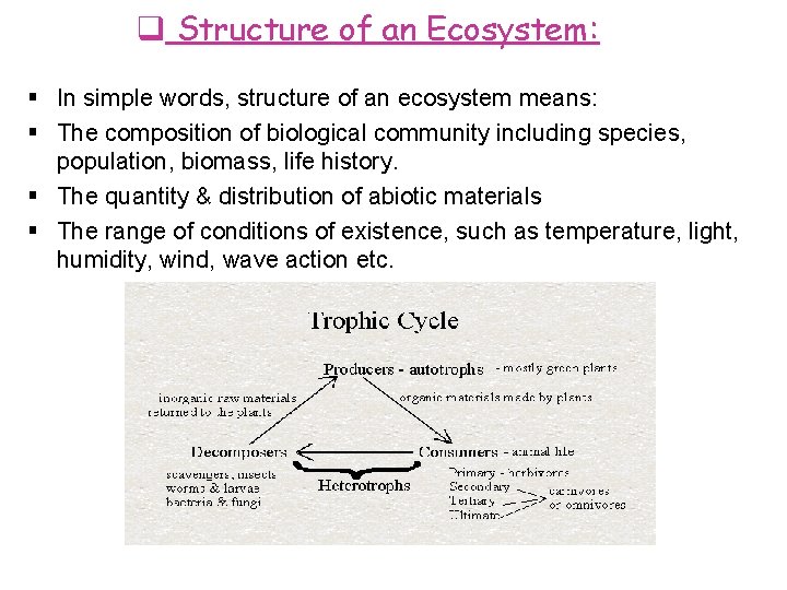  Structure of an Ecosystem: In simple words, structure of an ecosystem means: The