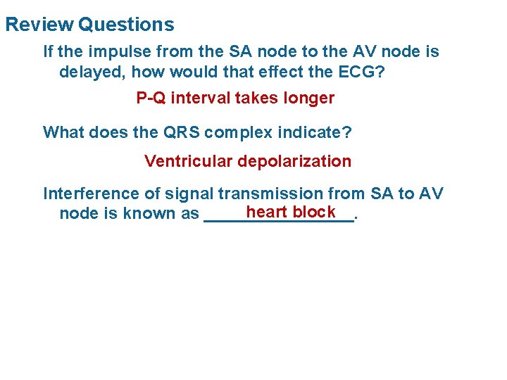 Review Questions If the impulse from the SA node to the AV node is