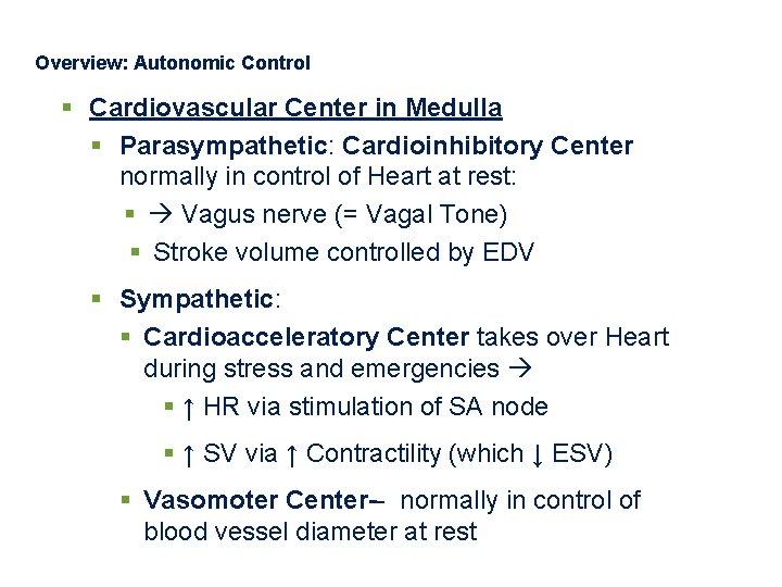 Overview: Autonomic Control § Cardiovascular Center in Medulla § Parasympathetic: Cardioinhibitory Center normally in