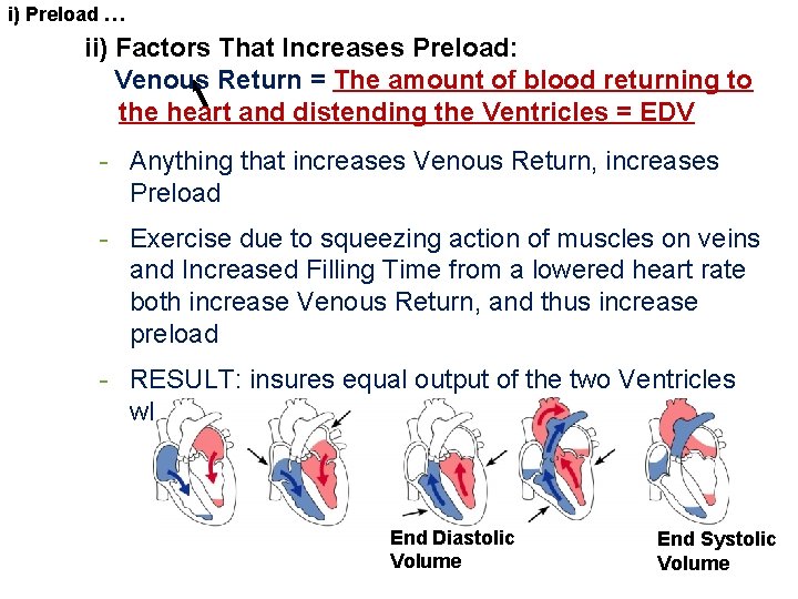 i) Preload … ii) Factors That Increases Preload: Venous Return = The amount of