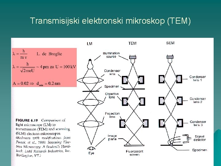 Transmisijski elektronski mikroskop (TEM) 