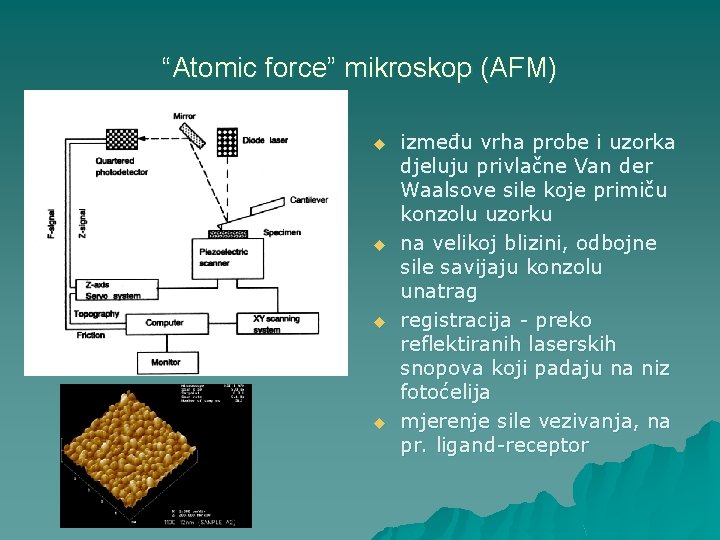 “Atomic force” mikroskop (AFM) u u između vrha probe i uzorka djeluju privlačne Van