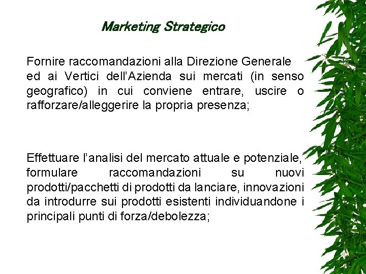 Marketing Strategico Fornire raccomandazioni alla Direzione Generale ed ai Vertici dell’Azienda sui mercati (in