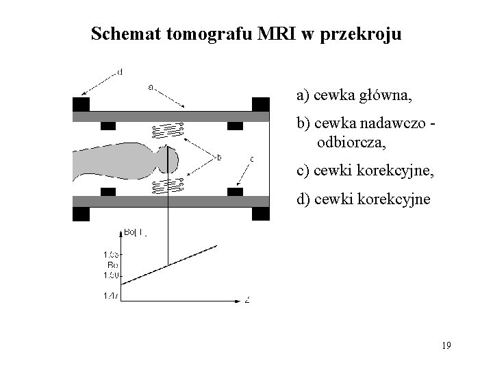 Schemat tomografu MRI w przekroju a) cewka główna, b) cewka nadawczo odbiorcza, c) cewki