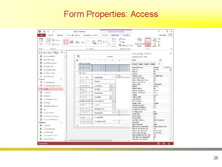 Form Properties: Access 28 