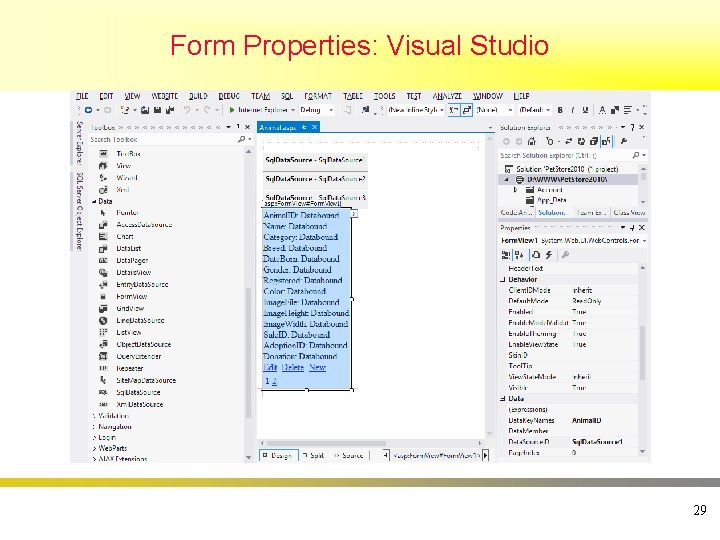 Form Properties: Visual Studio 29 