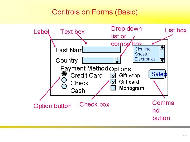 Controls on Forms (Basic) Label Text box Last Name Drop down list or combo