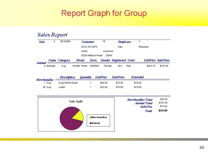 Report Graph for Group 66 