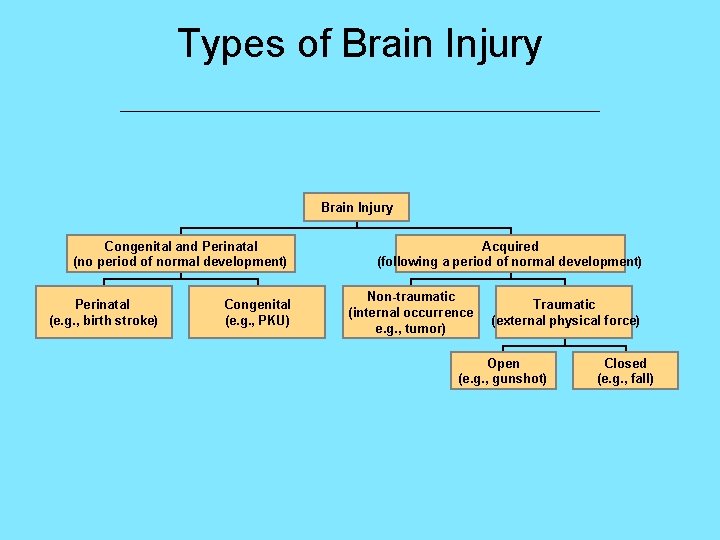 Types of Brain Injury ___________________________ Brain Injury Congenital and Perinatal (no period of normal