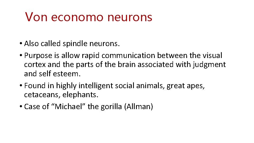 Von economo neurons • Also called spindle neurons. • Purpose is allow rapid communication