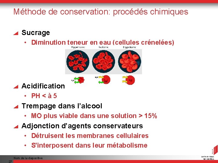 Méthode de conservation: procédés chimiques Sucrage • Diminution teneur en eau (cellules crénelées) Acidification