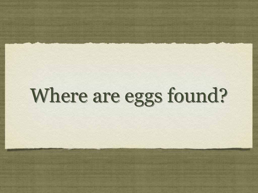 Where are eggs found? 