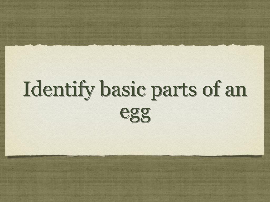 Identify basic parts of an egg 