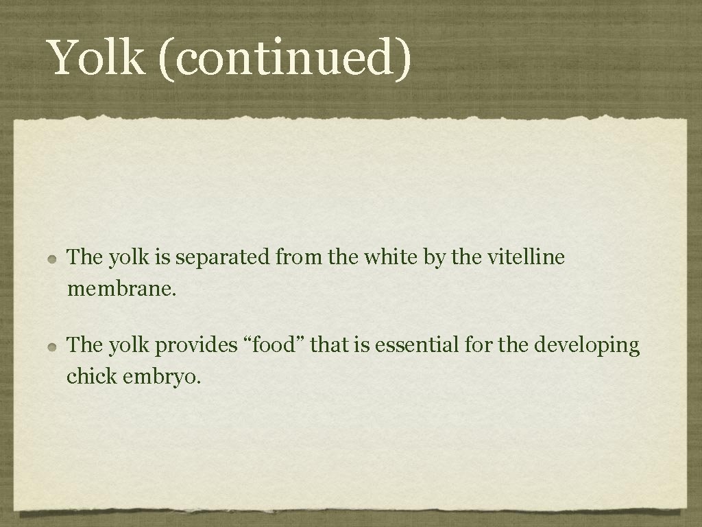 Yolk (continued) The yolk is separated from the white by the vitelline membrane. The