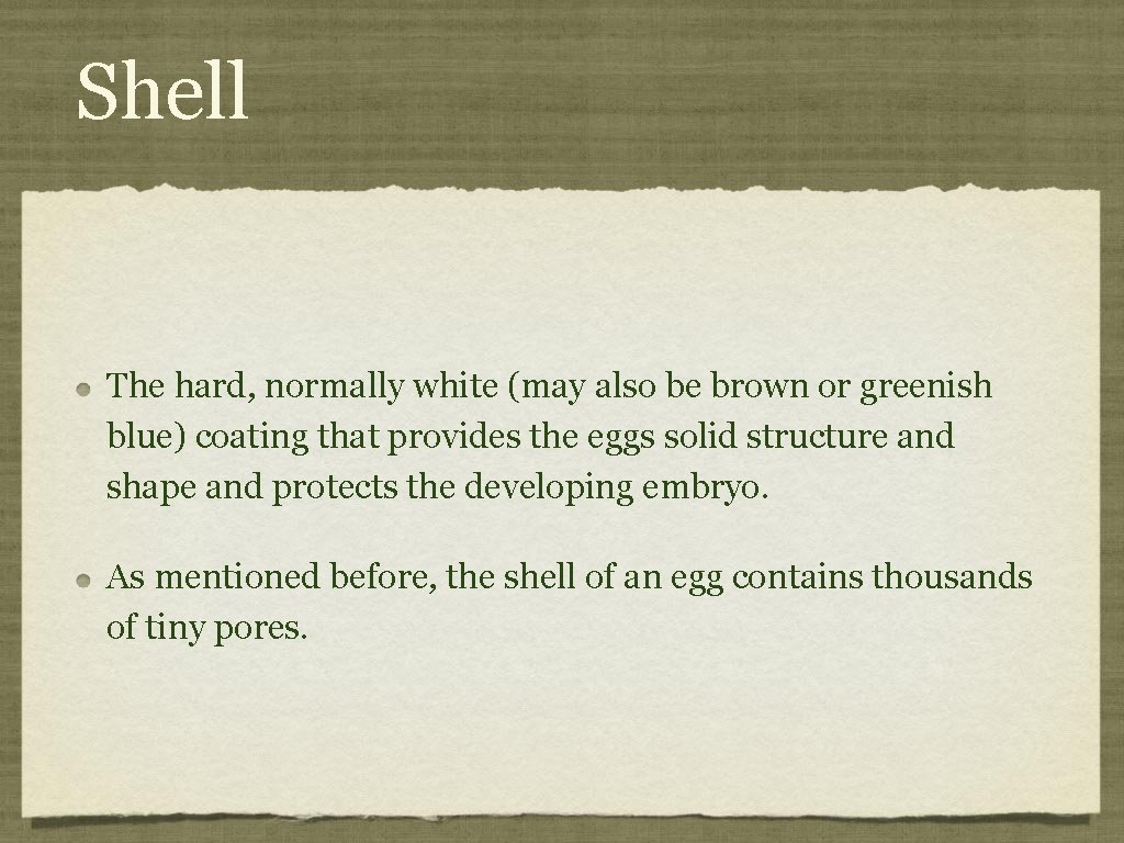Shell The hard, normally white (may also be brown or greenish blue) coating that