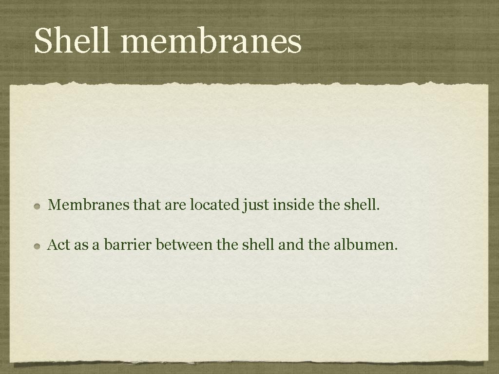 Shell membranes Membranes that are located just inside the shell. Act as a barrier