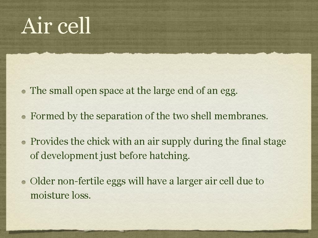 Air cell The small open space at the large end of an egg. Formed