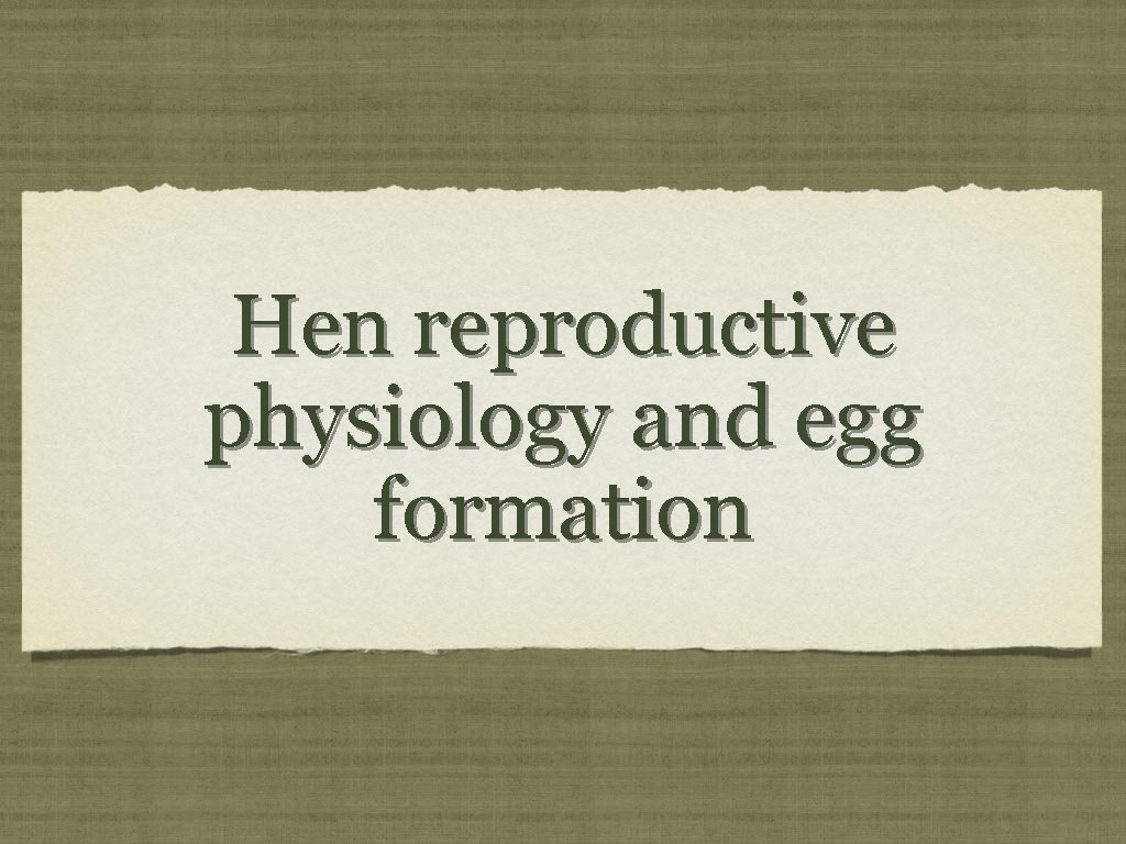 Hen reproductive physiology and egg formation 