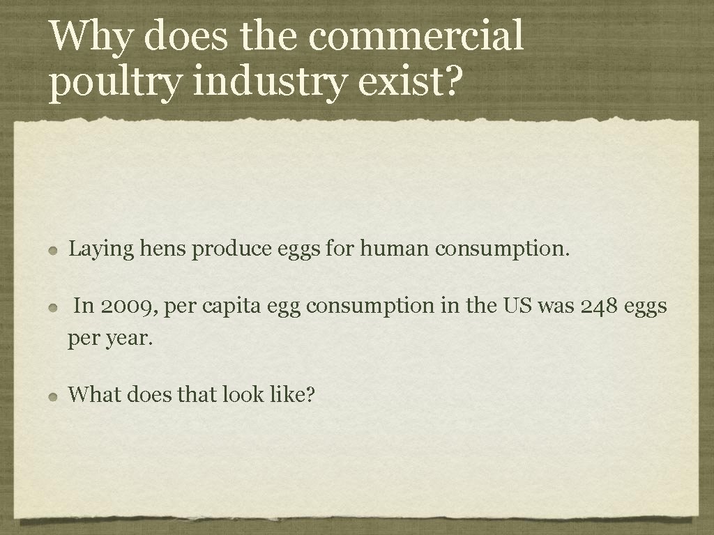 Why does the commercial poultry industry exist? Laying hens produce eggs for human consumption.
