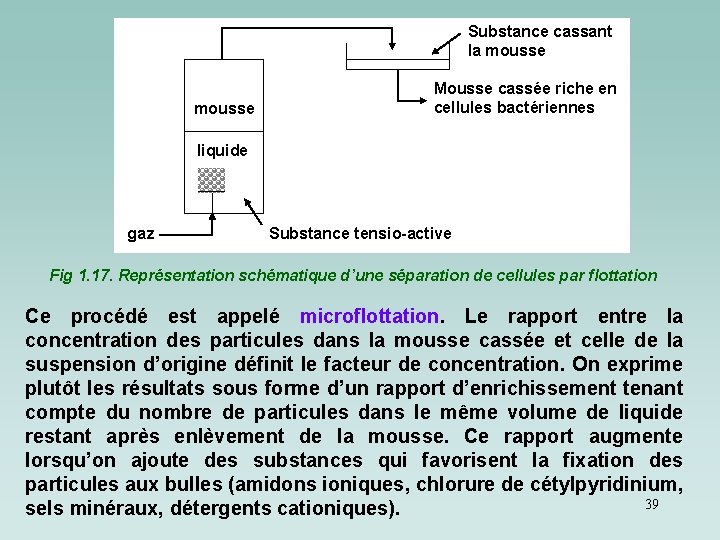 Substance cassant la mousse Mousse cassée riche en cellules bactériennes liquide gaz Substance tensio-active Substance cassant la mousse Mousse cassée riche en cellules bactériennes liquide gaz Substance tensio-active