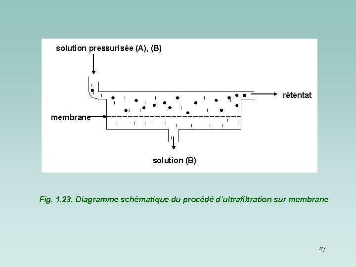 solution pressurisée (A), (B) rétentat membrane solution (B) Fig. 1. 23. Diagramme schématique du solution pressurisée (A), (B) rétentat membrane solution (B) Fig. 1. 23. Diagramme schématique du