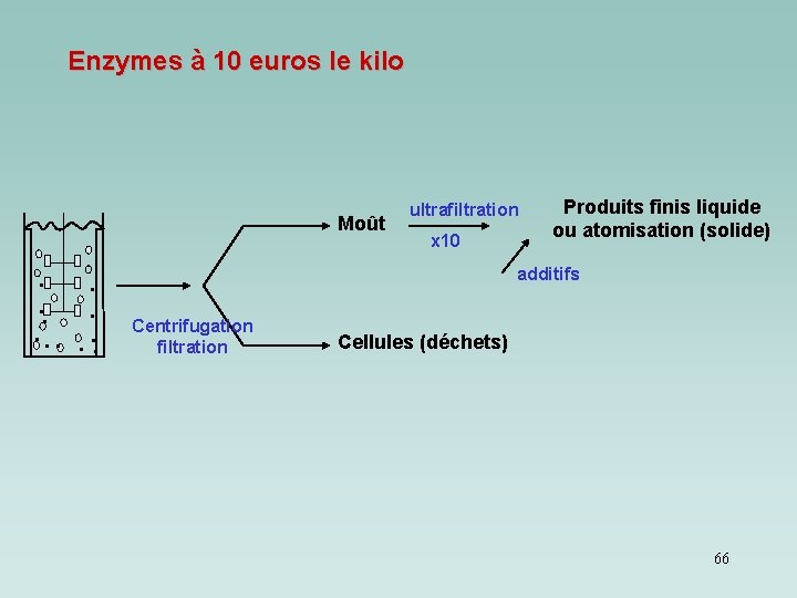 Enzymes à 10 euros le kilo Moût. . . ultrafiltration x 10 Produits finis Enzymes à 10 euros le kilo Moût. . . ultrafiltration x 10 Produits finis