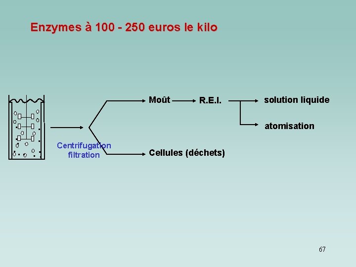Enzymes à 100 - 250 euros le kilo Moût. . . R. E. I. Enzymes à 100 - 250 euros le kilo Moût. . . R. E. I.
