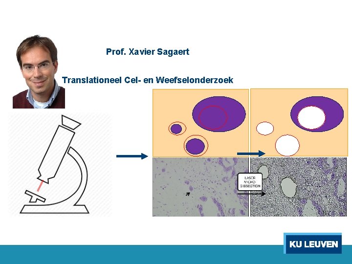 Prof. Xavier Sagaert Translationeel Cel- en Weefselonderzoek 