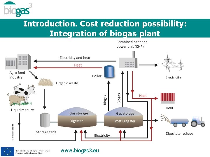 Introduction. Cost reduction possibility: Integration of biogas plant www. biogas 3. eu 