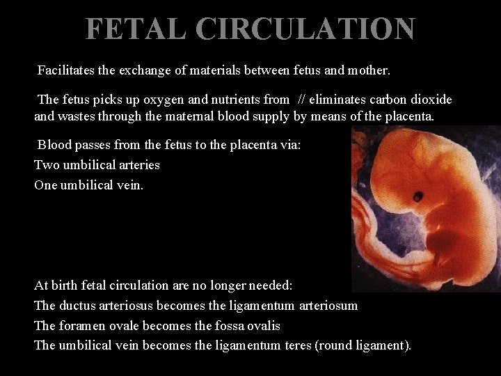 FETAL CIRCULATION Facilitates the exchange of materials between fetus and mother. The fetus picks